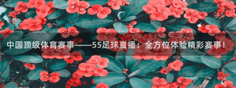 中国顶级体育赛事——55足球直播：全方位体验精彩赛事！