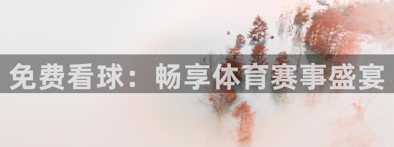 免费看球：畅享体育赛事盛宴