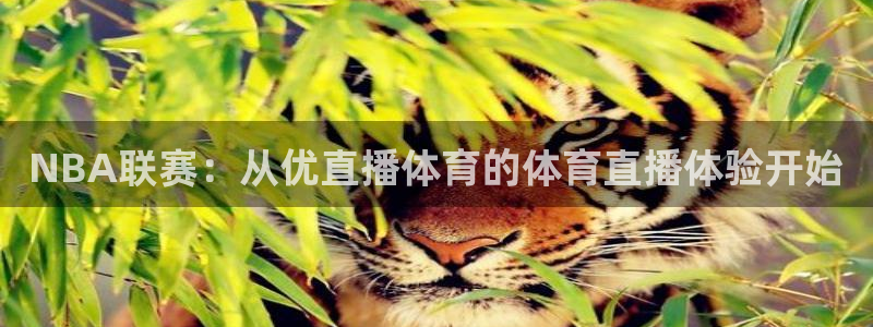 NBA联赛：从优直播体育的体育直播体验开始