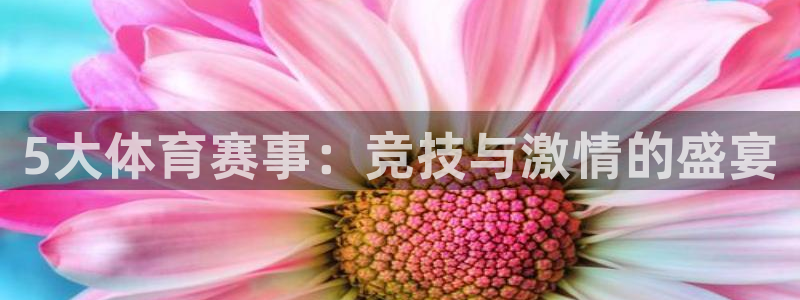 5大体育赛事：竞技与激情的盛宴